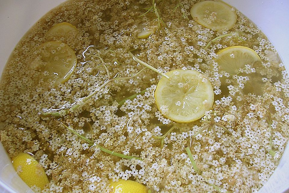 Holundersekt Holundersekt