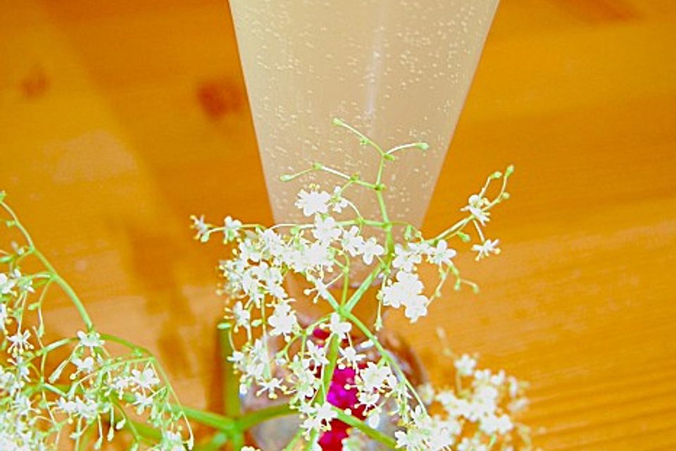 Holundersekt Holundersekt