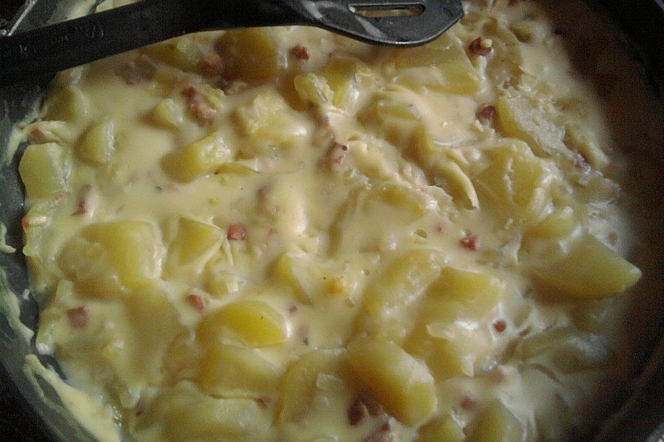 Bechamel - Kartoffeln