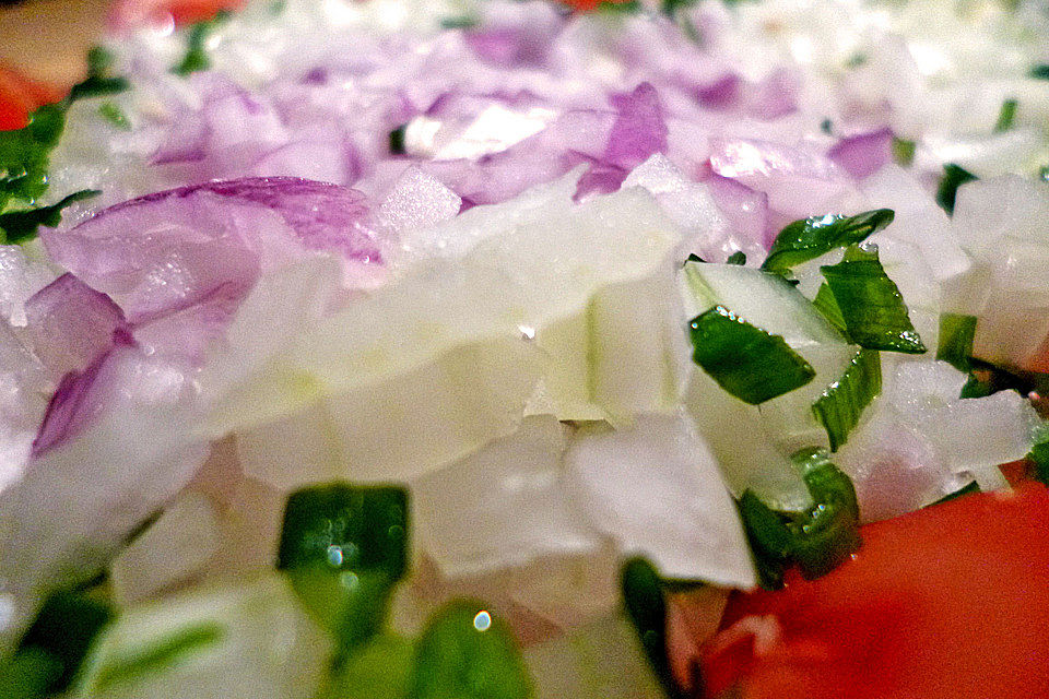 Tomaten - Zwiebel - Salat