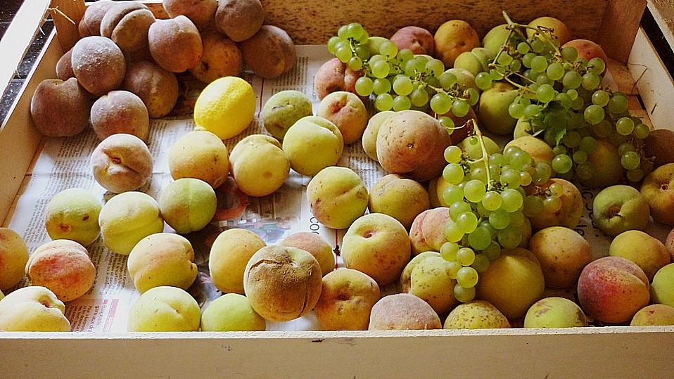 Pfirsichmarmelade mit Amaretto von browniie Pfirsichmarmelade mit Amaretto von browniie