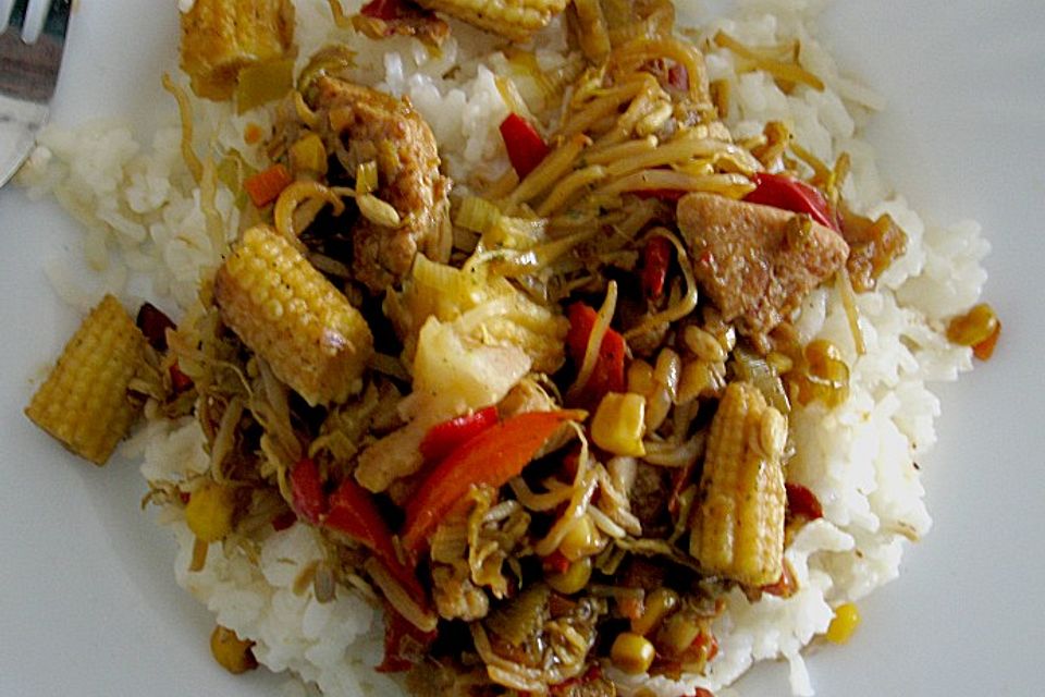 China - Pfanne mit Putenfleisch