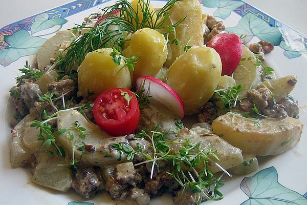 Kuriositaetenladen Schmorgurken Hackfleisch