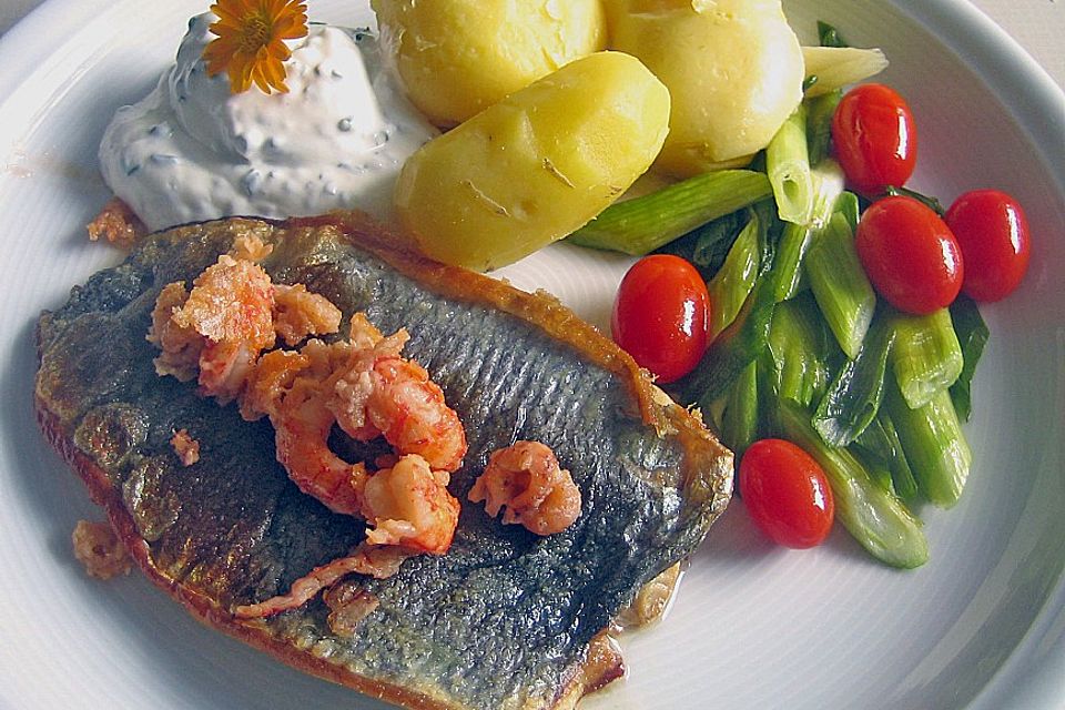 Heringsfilets auf Lauchzwiebeln und Tomaten