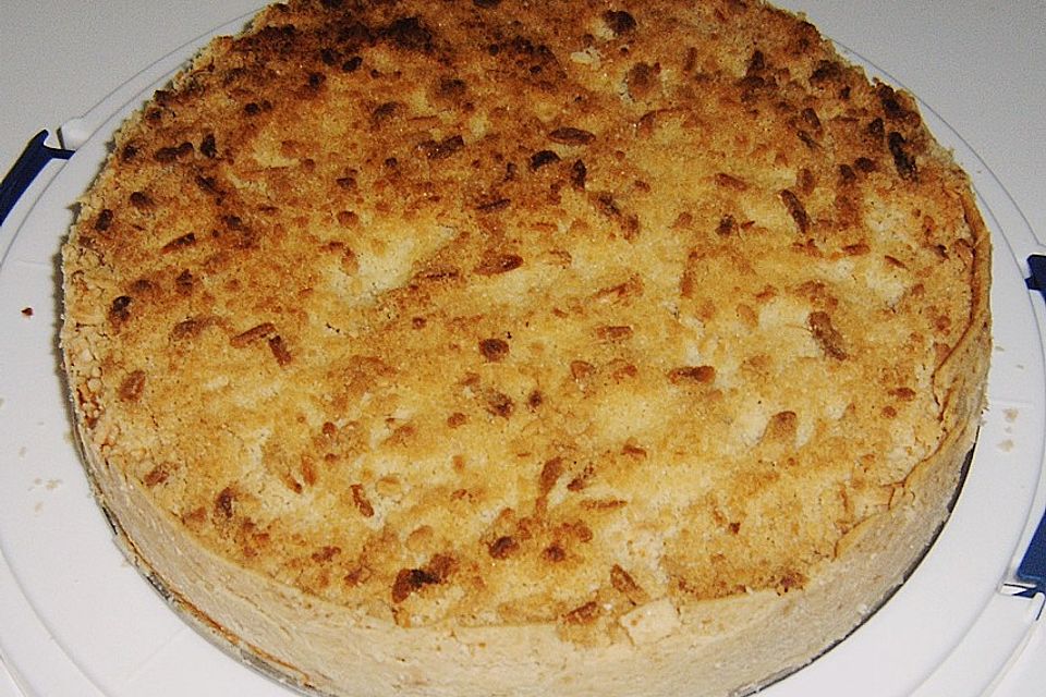 Pfirsich - Kirsch - Kuchen mit versunkenen Mandelstreuseln