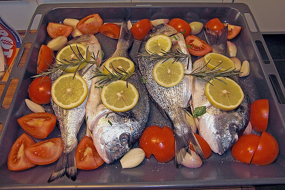 Dorade, italienische Art