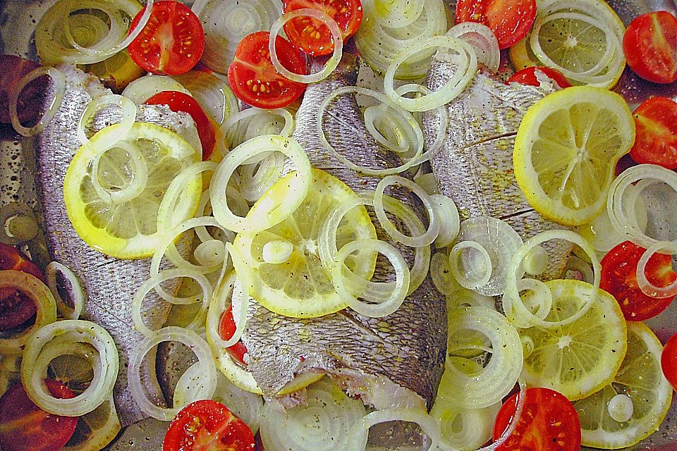 Dorade, italienische Art