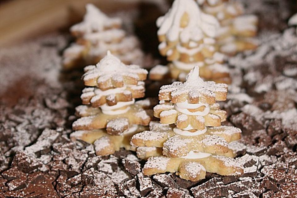 Weihnachts - Tannenbaum