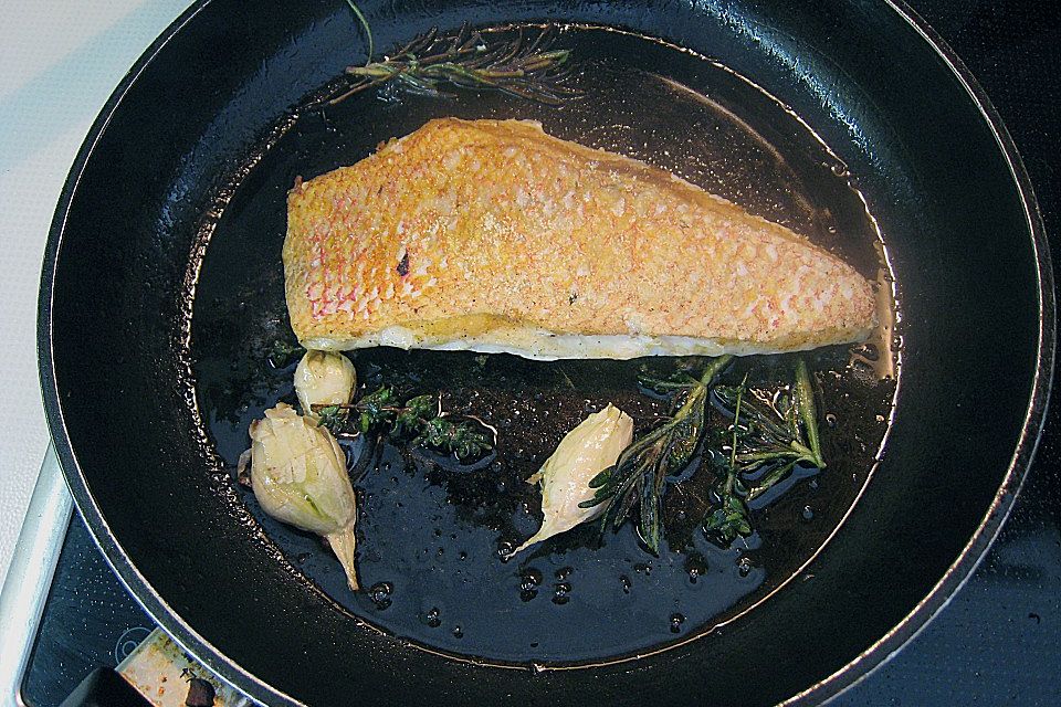 Red Snapper mit Bohnensprossen und Schmortomaten