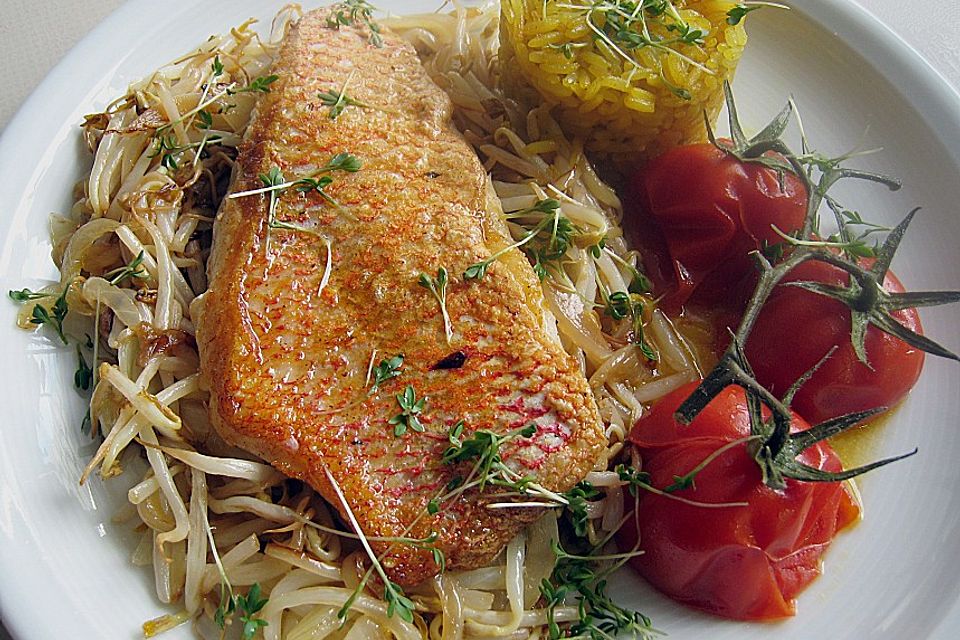 Red Snapper mit Bohnensprossen und Schmortomaten