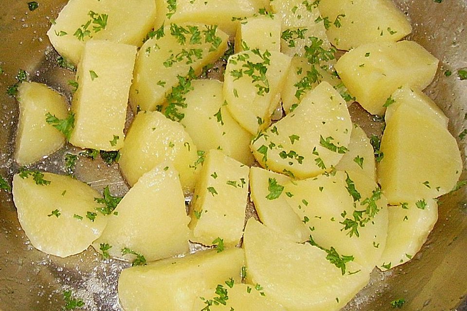 Dill - Kartoffeln