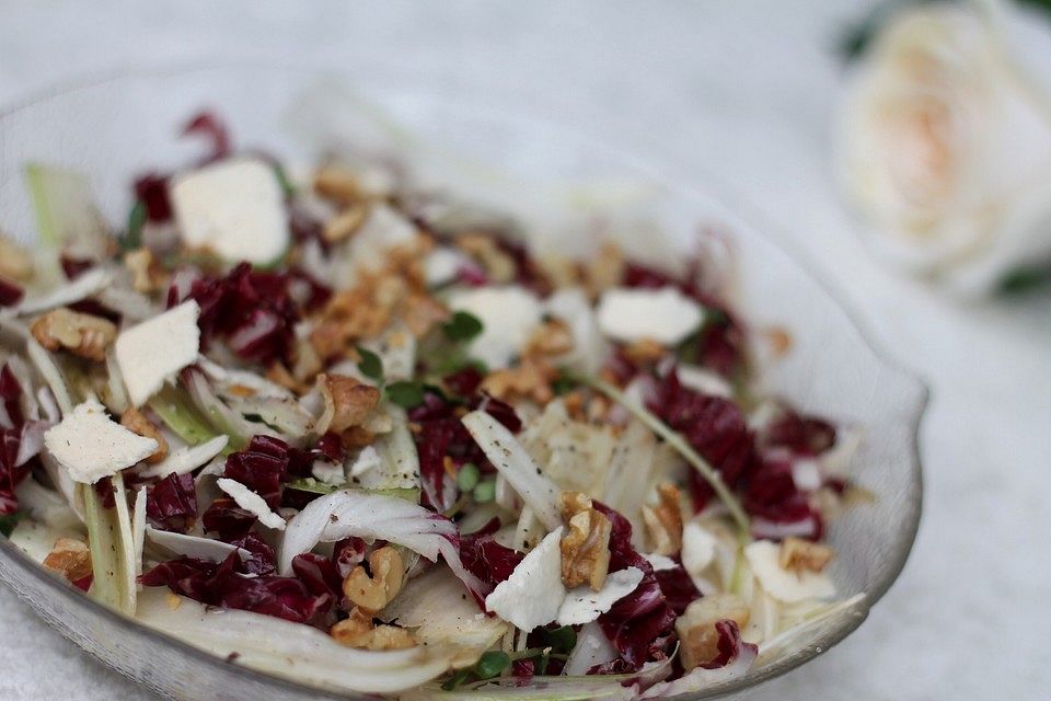 Radicchio-Fenchel-Salat