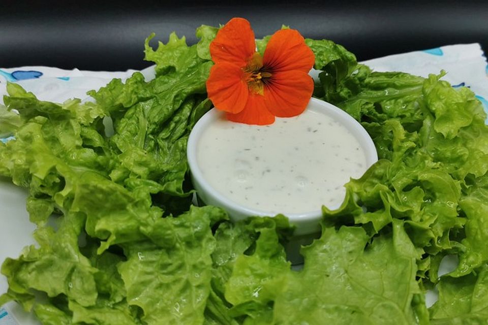 Helles Joghurt - Balsamico Dressing