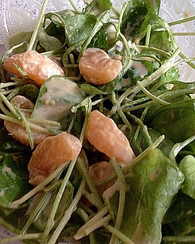 Postelein - Salat mit Ei und Mandarinen an einer leichten Joghurtsoße