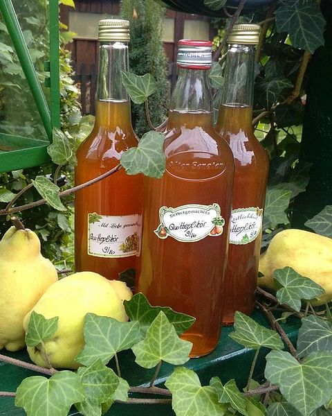 Quittenlikör Rezepte - die besten Rezepte 2026 | Chefkoch