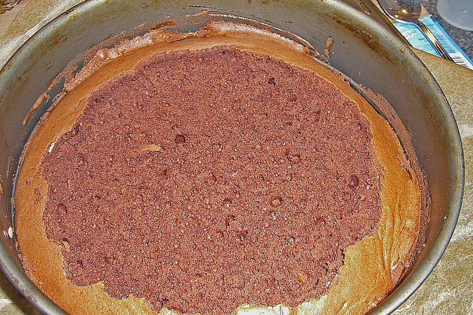 Maulwurfkuchen