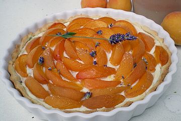Aprikosen - Marzipan Kuchen