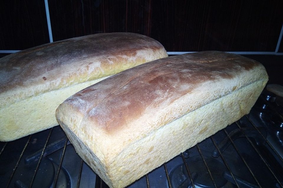 Kürbisbrot