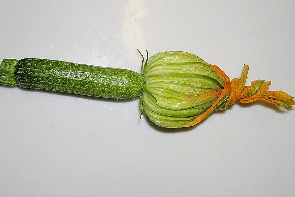 Gefüllte Zucchiniblüten