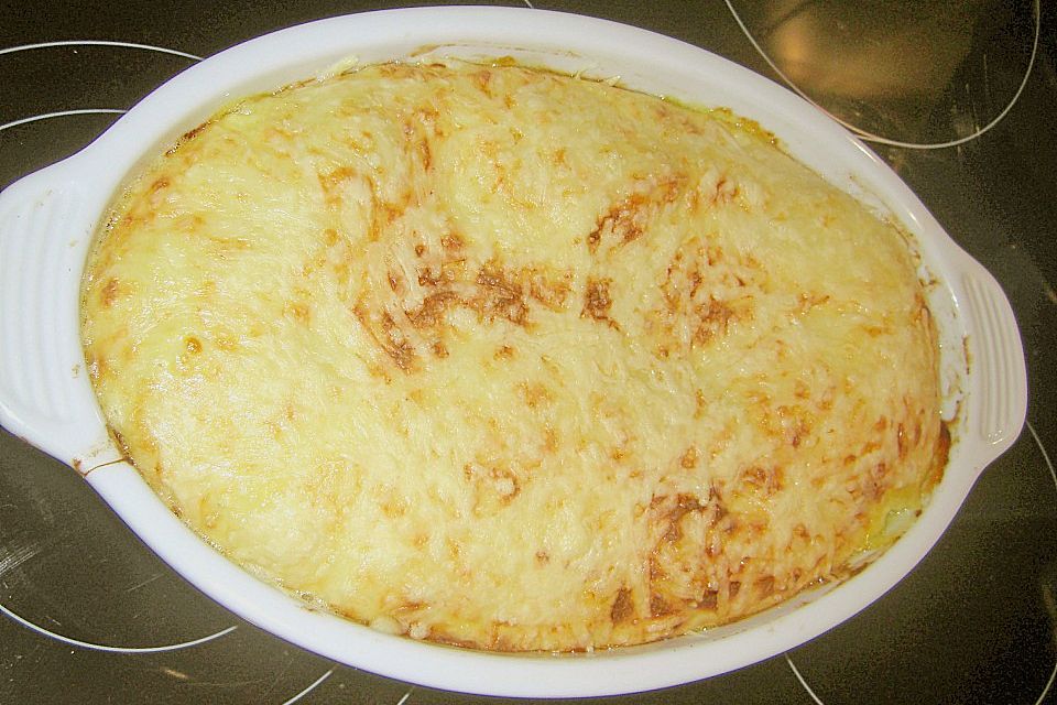 Lasagne Surprise Lasagne Surprise