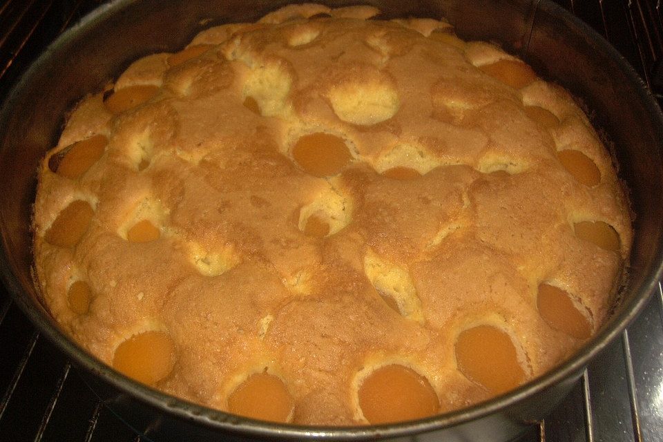 Versunkener Aprikosenkuchen