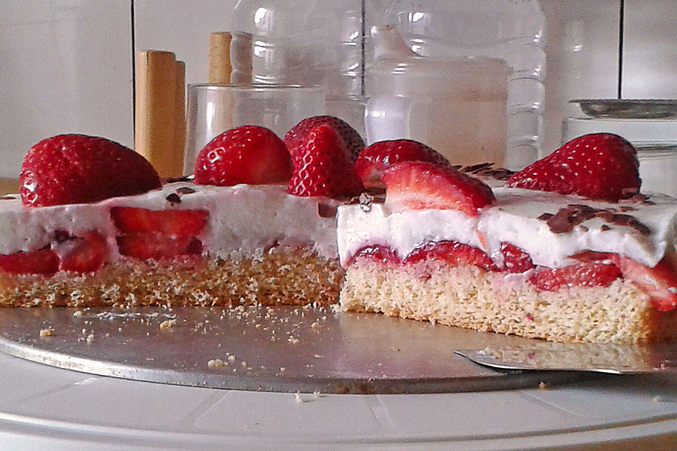 Erdbeer-Joghurt-Torte