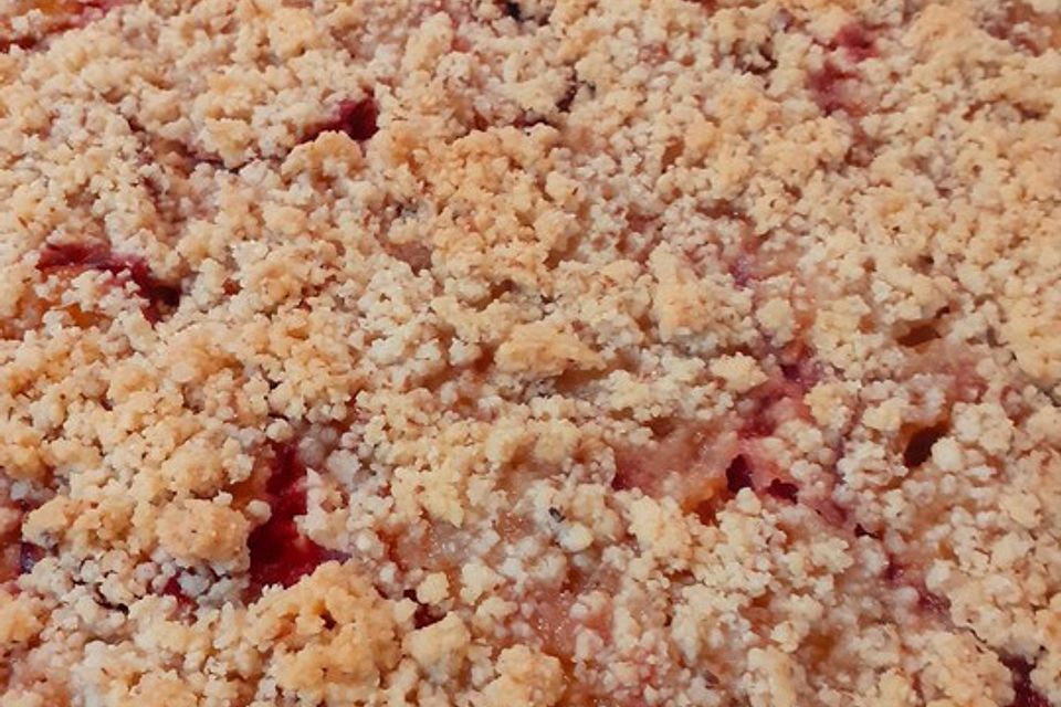 Pflaumen - Nuss - Streusel