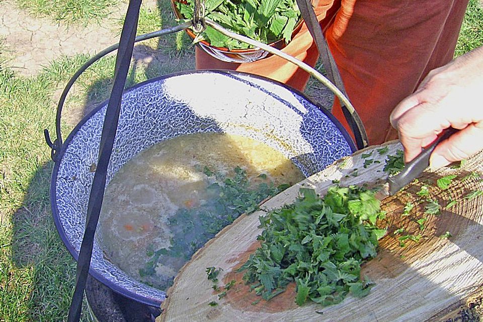 Brennnessel - Kartoffel - Suppe