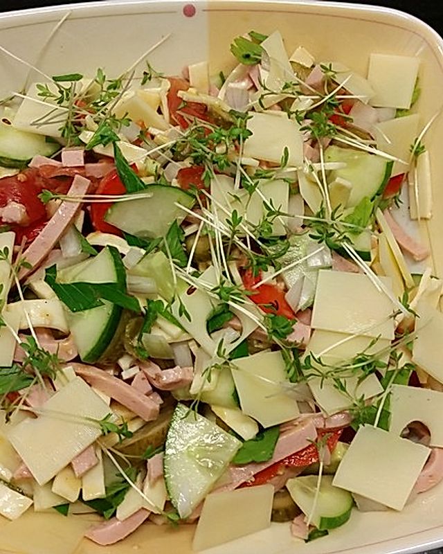 Käse - Wurst - Schlangengurken - Salat