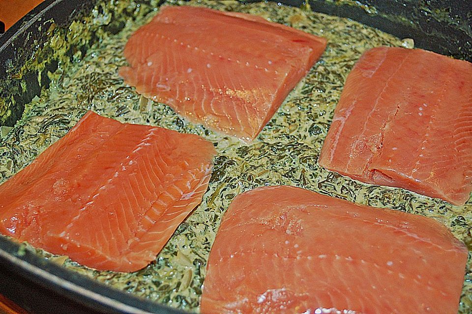 Lachs - Spinat - Nudeln