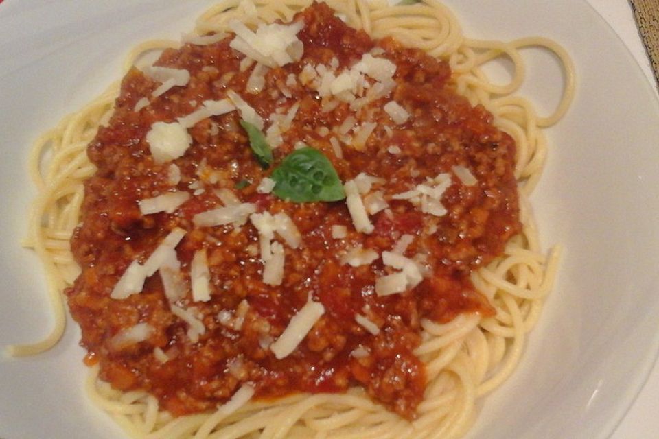 Koelkasts Bolognese