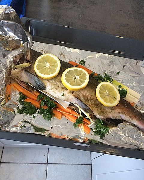Wildlachs Rezepte | Chefkoch