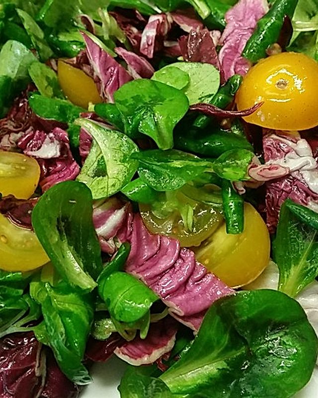 Salatplatte mit Feldsalat, Radicchio und Tomaten