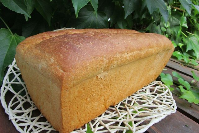 Weizen Toast Rund Weizen - Toastbrot von pedi