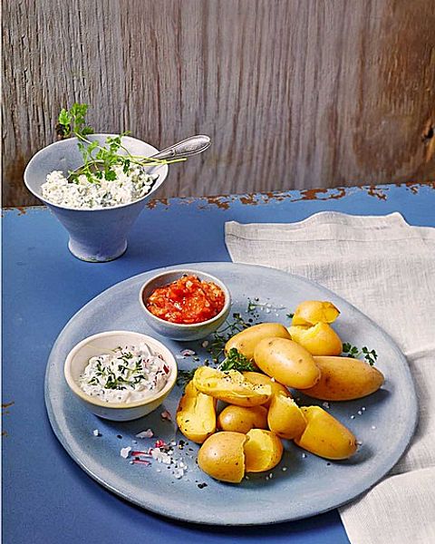 Rezeptempfehlungen für den Chefkoch Wochenplaner