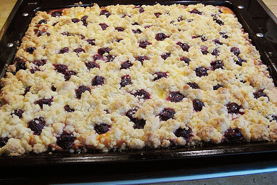 Quarkkuchen mit Früchten und Streuseln