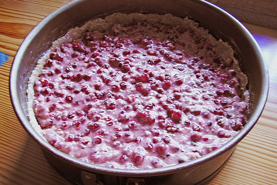 Johannisbeerkuchen Johannisbeerkuchen