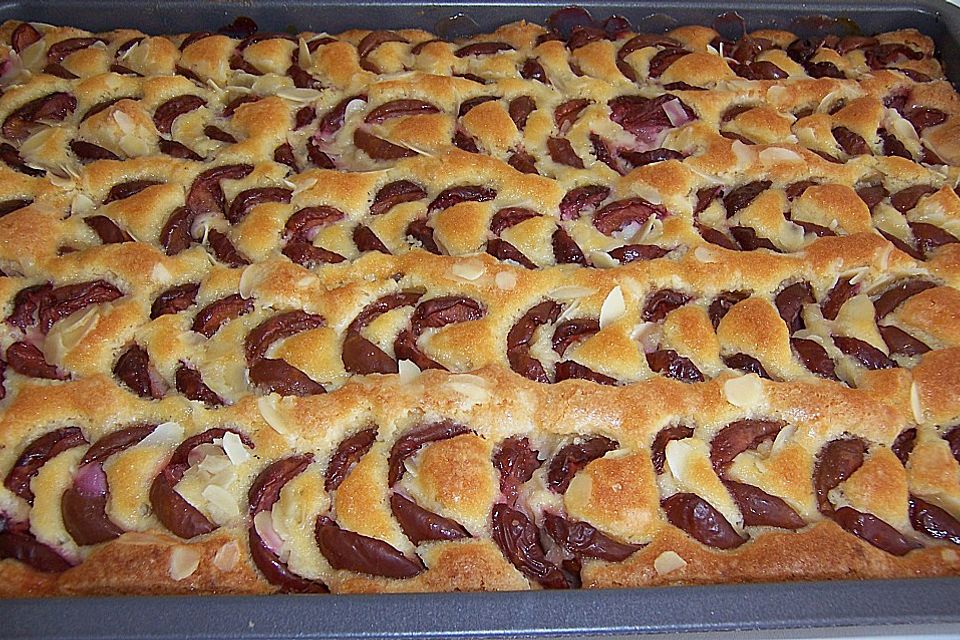 Pflaumen-  bzw. Zwetschgenblechkuchen auf Marzipan - Rührteig