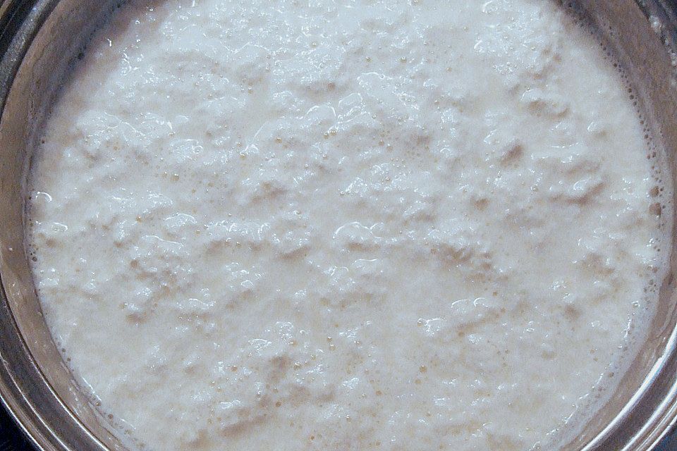 Mozzarella, selbstgemacht Mozzarella, selbstgemacht