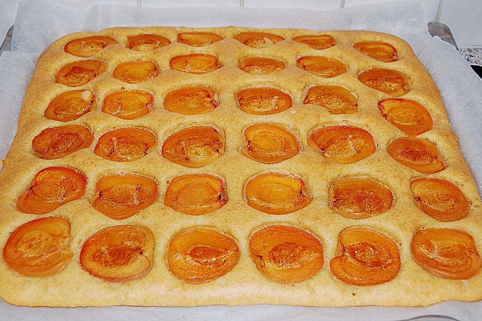 Öl - Marillenkuchen