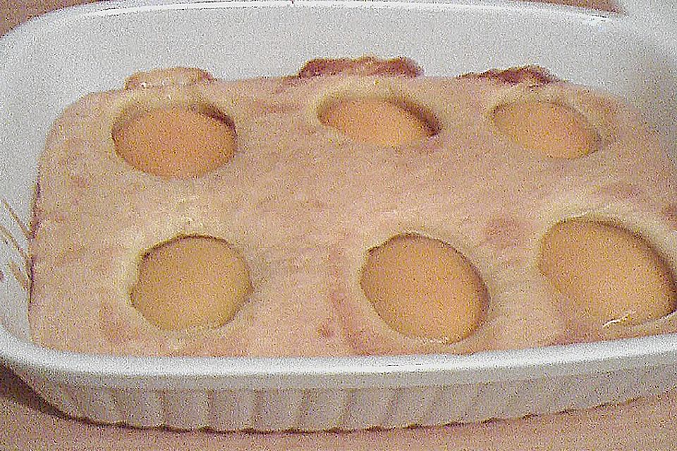 Öl - Marillenkuchen