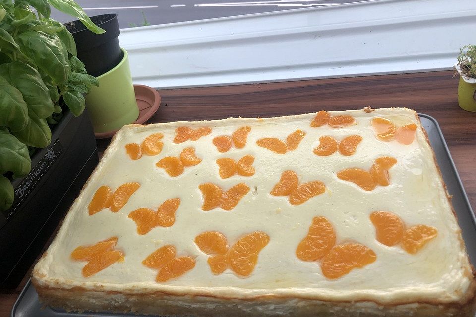 Blitz - Käsekuchen mit Mandarinen vom Blech