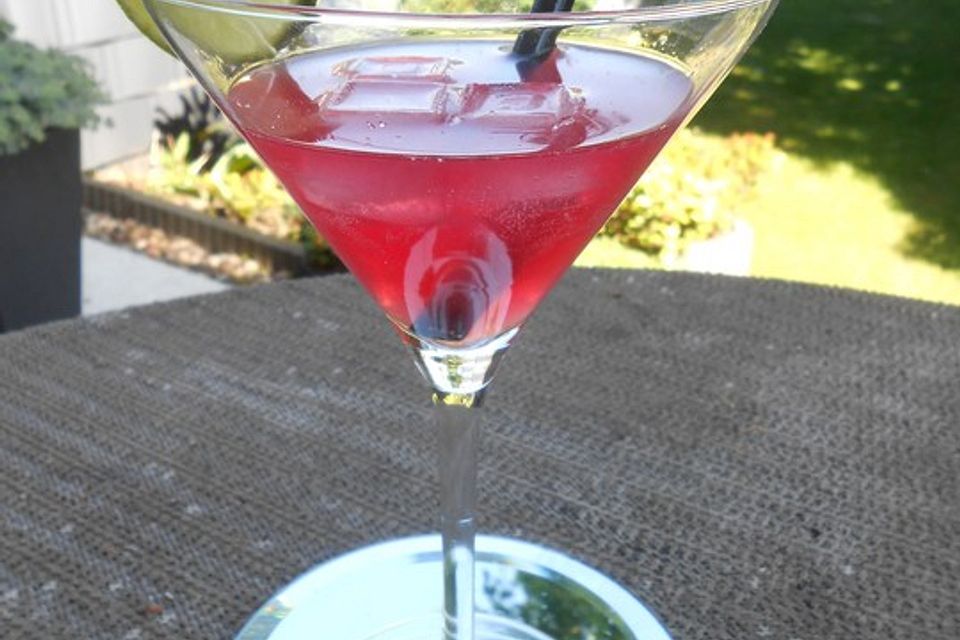 The Bacardi Cocktail