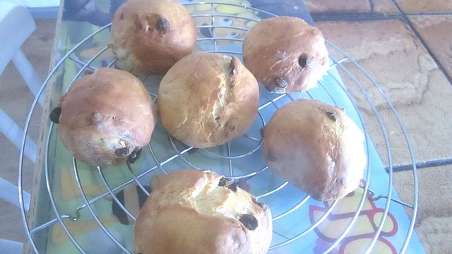 Dinkel - Rosinenbrötchen