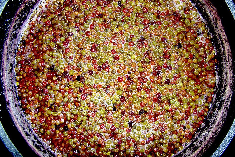 Kapern aus grünen Holunderbeeren Kapern aus grünen Holunderbeeren
