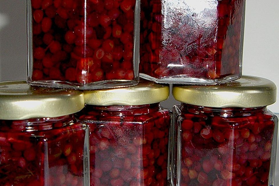 Kapern aus grünen Holunderbeeren Kapern aus grünen Holunderbeeren