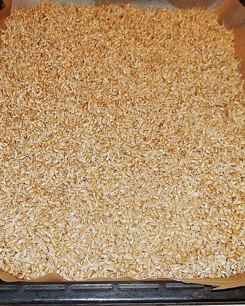 Backmalz selbst herstellen von nimue369