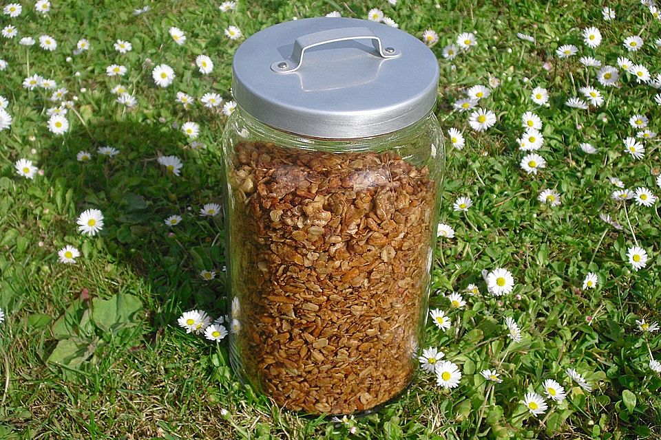 Knuspermüsli