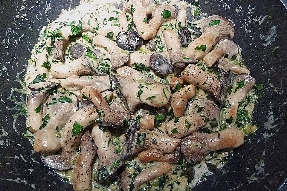 Kräuterseitlinge mit Pasta