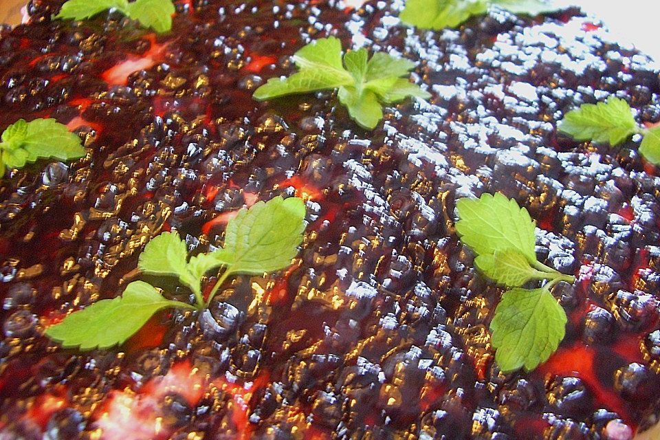 Frischkäsetorte mit Bröselboden und Blaubeeren